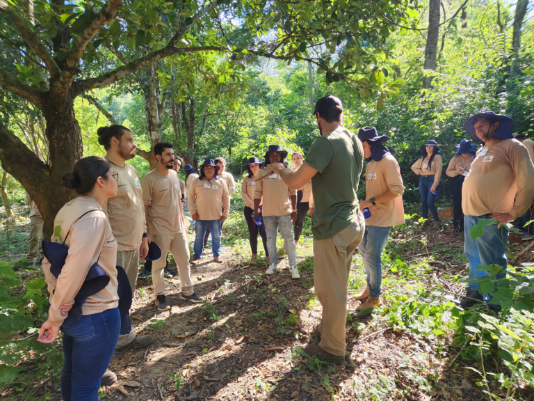 Leia mais sobre o artigo Abertas inscrições para 3ª turma do curso de Formação em Sistemas Agroflorestais