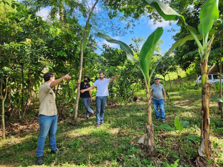 Leia mais sobre o artigo Confira a relação dos aprovados no curso “Desenvolvimento de Negócios Agroflorestais”