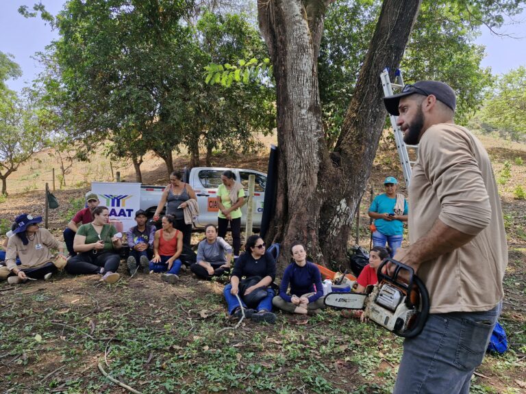 Leia mais sobre o artigo CIAAT promove Dia de Campo sobre poda de Sistemas Agroflorestais