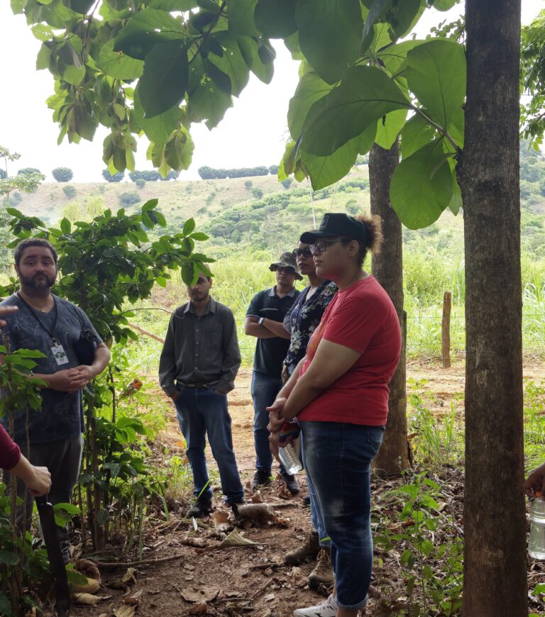 Leia mais sobre o artigo CIAAT e parceiros ambientais iniciam estudo sobre árvores em extinção