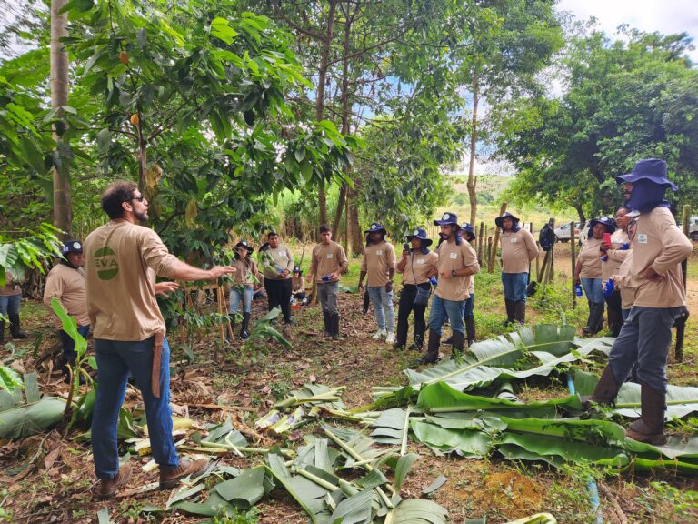 Leia mais sobre o artigo CIAAT abre inscrições para Dia de Campo e para 2ª turma de Negócios Agroflorestais