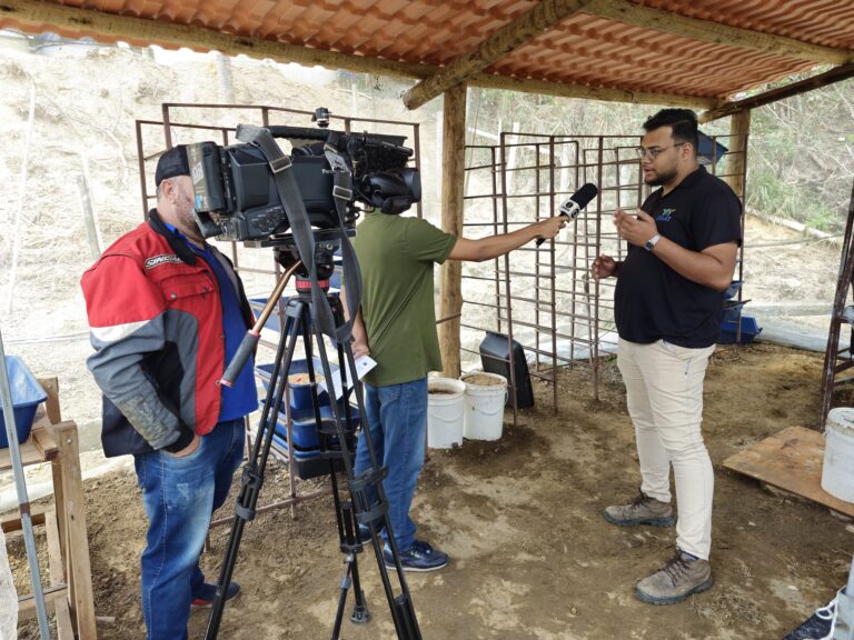 Leia mais sobre o artigo CETRECS é destaque na InterTV Rural com projeto de bioconversão