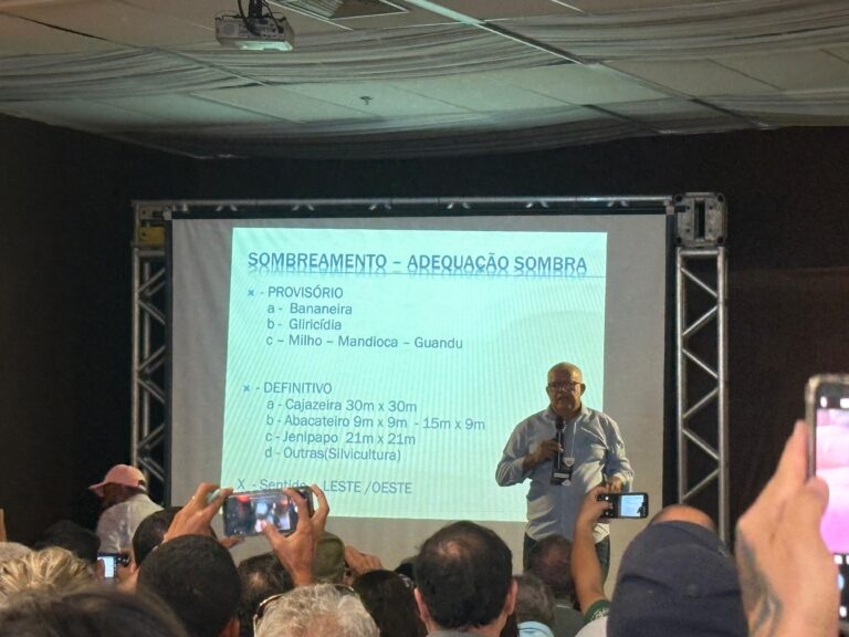 Leia mais sobre o artigo CIAAT fortalece conhecimento em cacau para impulsionar Sistemas Agroflorestais