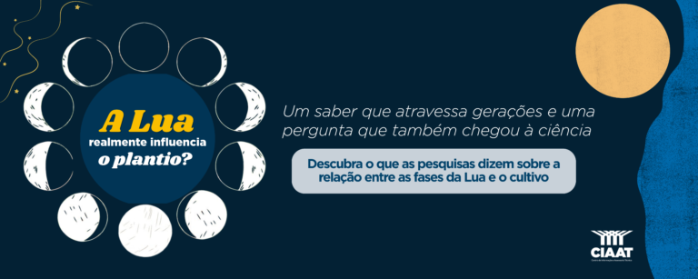 Leia mais sobre o artigo Fases da Lua influenciam o plantio? O que dizem a tradição e a ciência