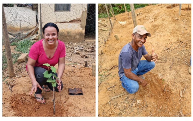 Leia mais sobre o artigo Projeto Raízes de Valor incentiva a diversificação da produção rural com plantio de uvas